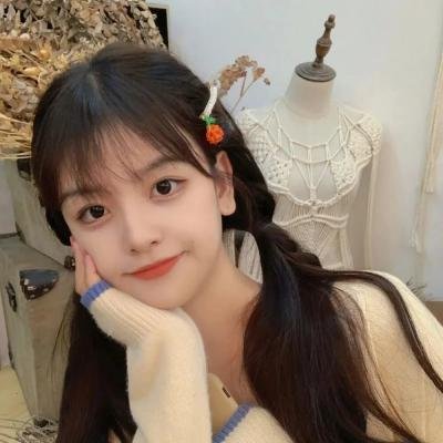 巅峰拍档第十三季